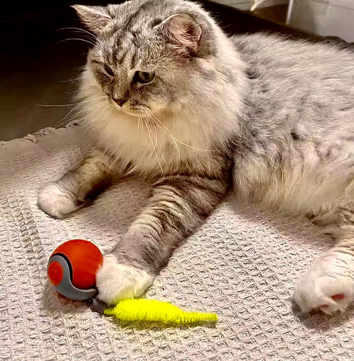 PuffyFuzzy™ Smart Rolling Ball