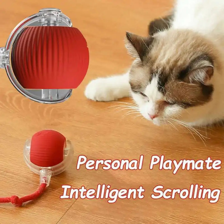 Pet toys Gravity Electric Amusement Pet Ball Smart Bouncing Ball For Dogs and Cats