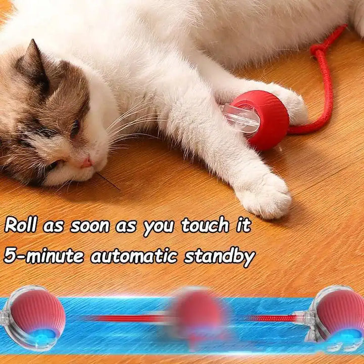 Pet toys Gravity Electric Amusement Pet Ball Smart Bouncing Ball For Dogs and Cats