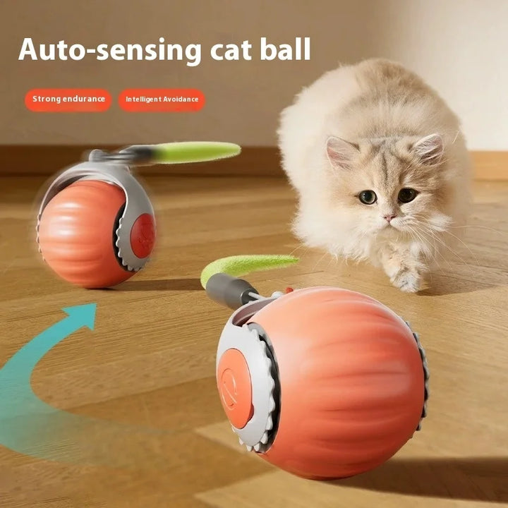 PuffyFuzzy™ Smart Rolling Ball