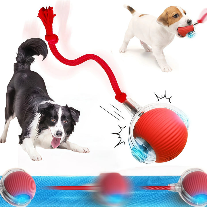 PuffyFuzzy™ Smart Rolling Ball