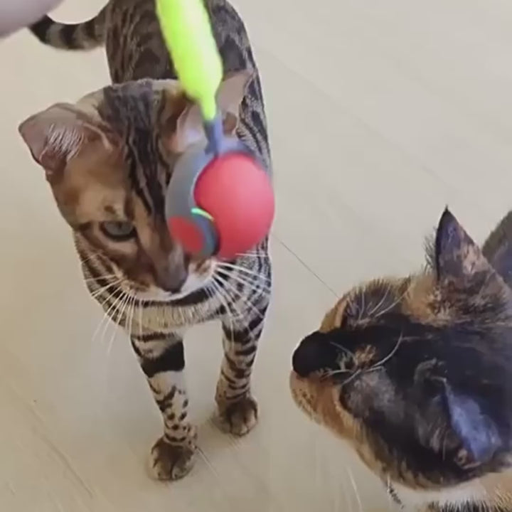PuffyFuzzy™ Smart Rolling Ball